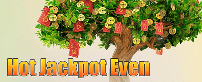 VIP အထူးအခွင့်အရေး promotion